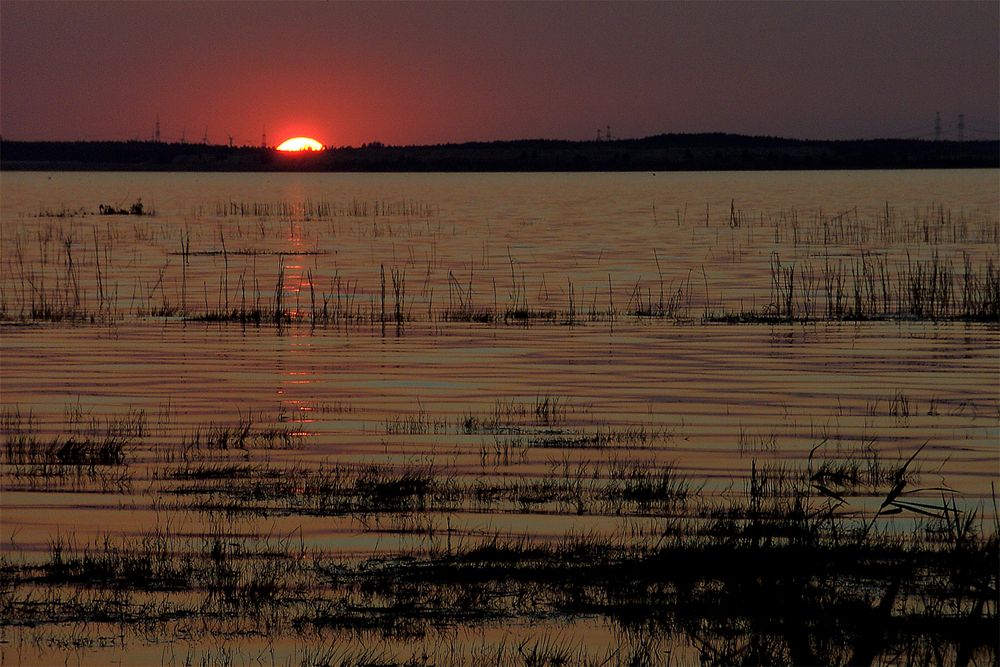 ~ rote sonne ~