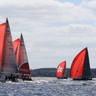 Rote Spinnaker im Gegenlicht