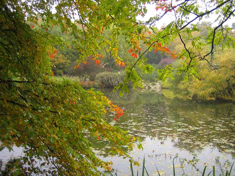 rote Spitzen zum Herbst