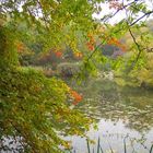 rote Spitzen zum Herbst