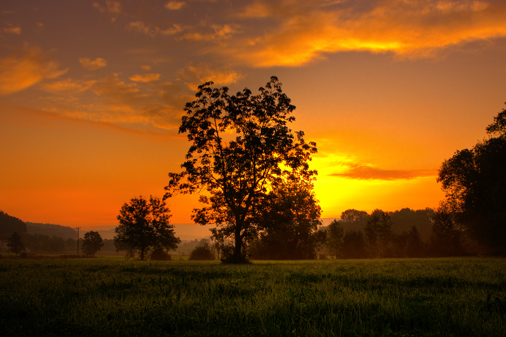 Rote Stunde