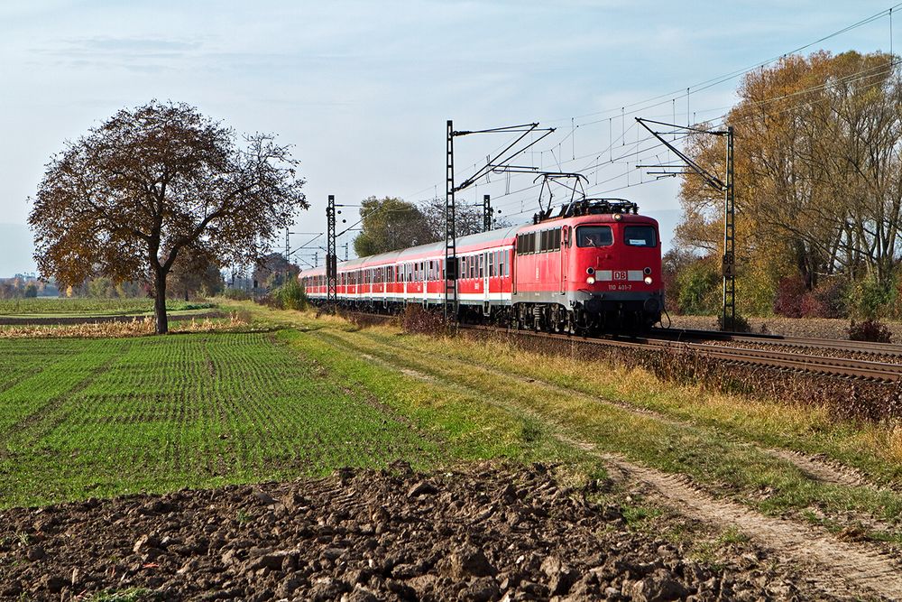 Rote Teufel on Tour