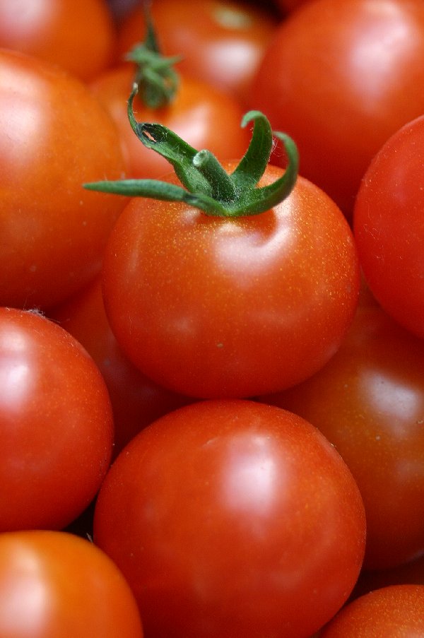 rote Tomaten by Ursula Heinelt