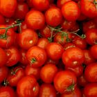 Rote Tomaten