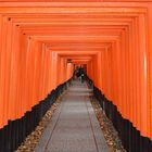 Rote Torii - Fushimi Inari-Taisha
