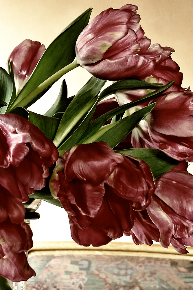 Rote Tulpen