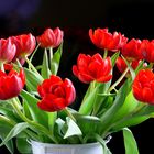 Rote Tulpen