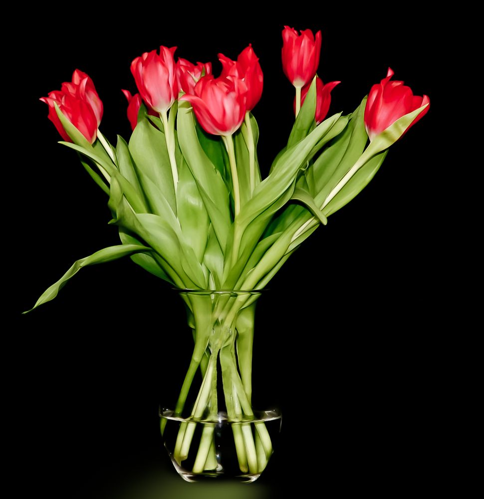 Rote Tulpen