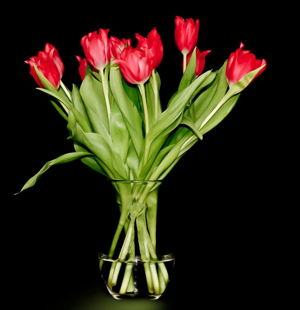 Rote Tulpen