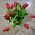 Rote Tulpen in der Vase