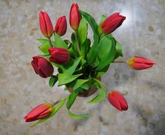 Rote Tulpen in der Vase