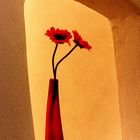 Rote Vase