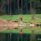 Rote Waldzwerge