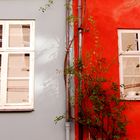 Rote Wand