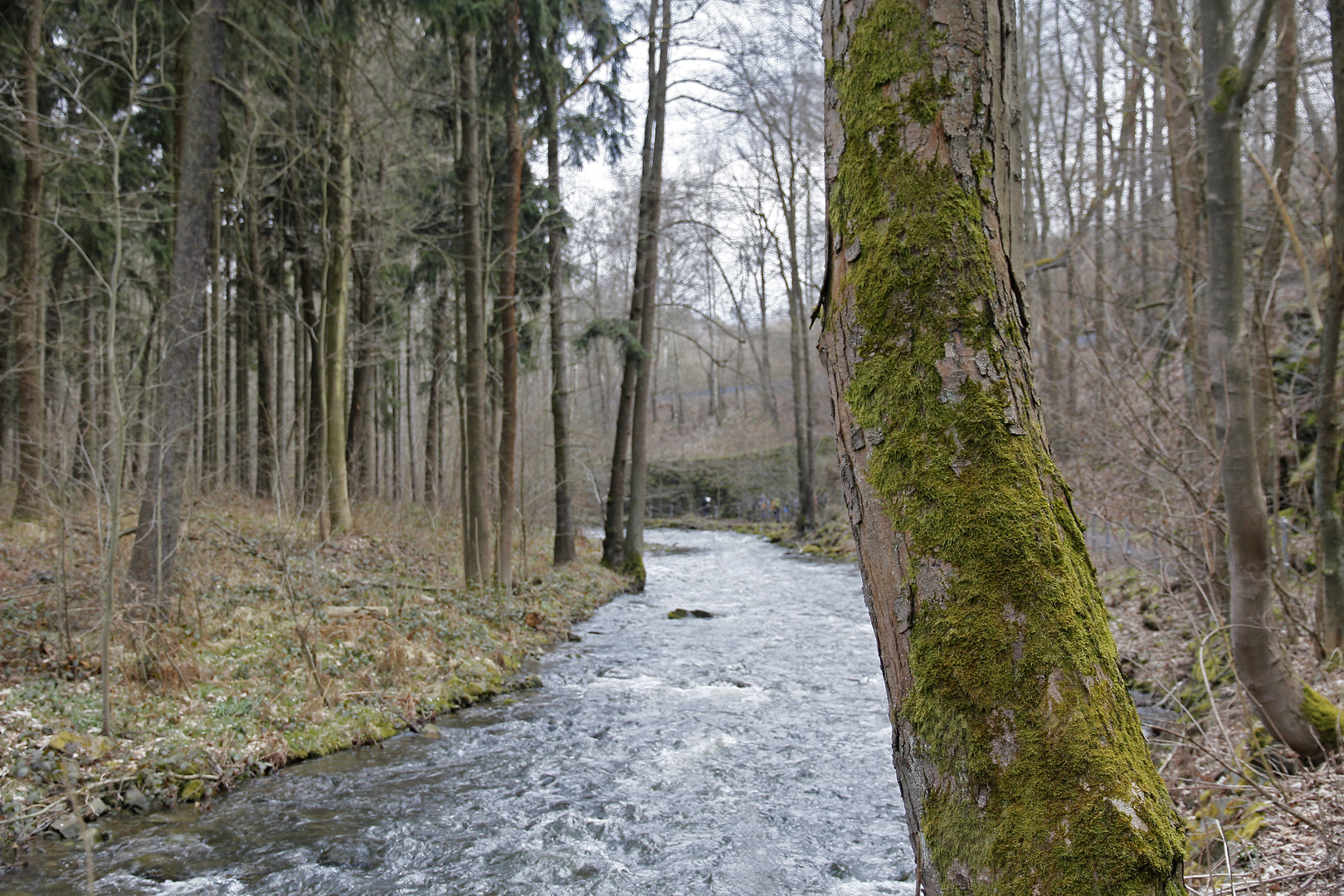 Rote Weißeritz