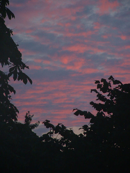 Rote Wolken