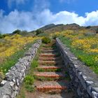 Rote-Ziegel-Treppe