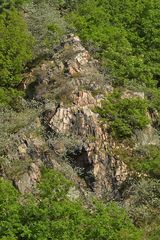 Rotenfels: Grün setzt sich durch 01