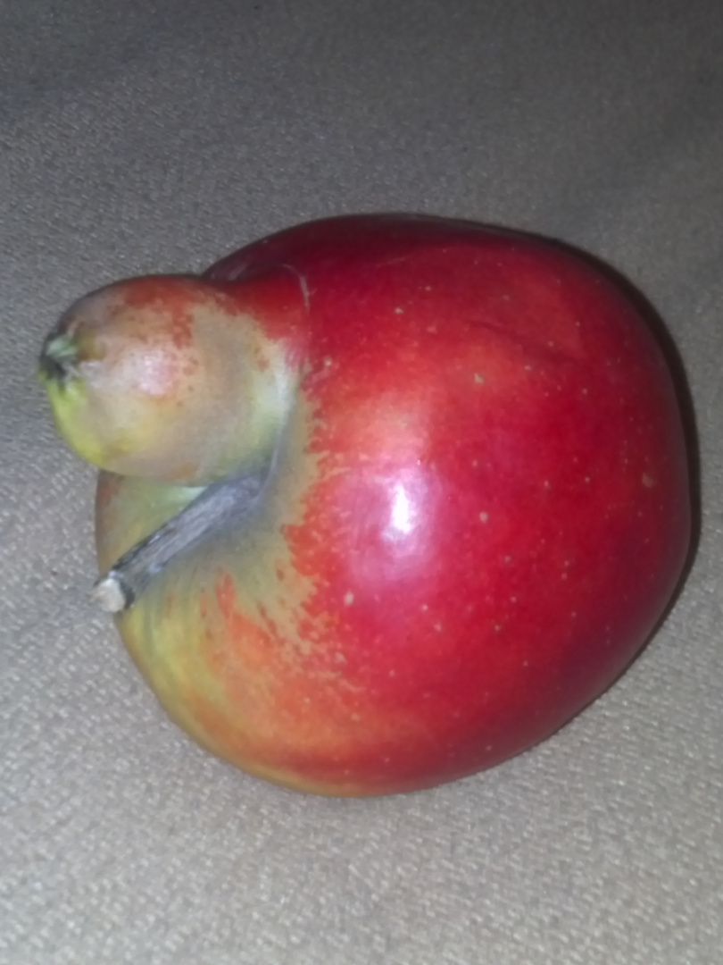 Roter Apfel mit Nase