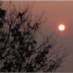 Roter Ball am Himmel