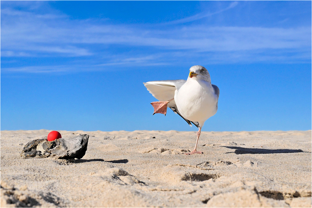 Roter Ball am Strand ...