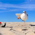 Roter Ball am Strand ...