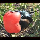 Roter Ballon