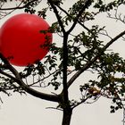 roter Ballon