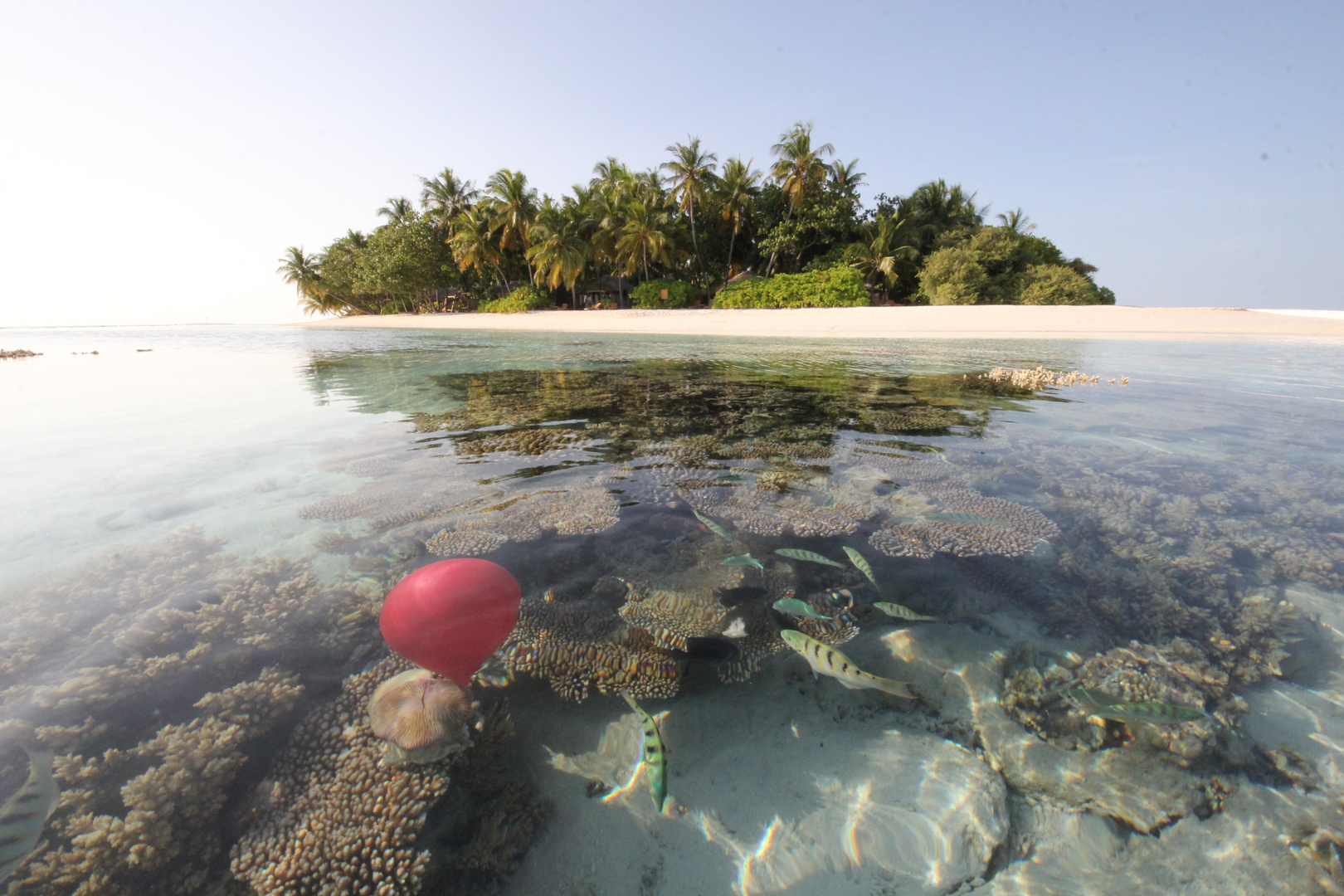 Roter Ballon auf den Malediven