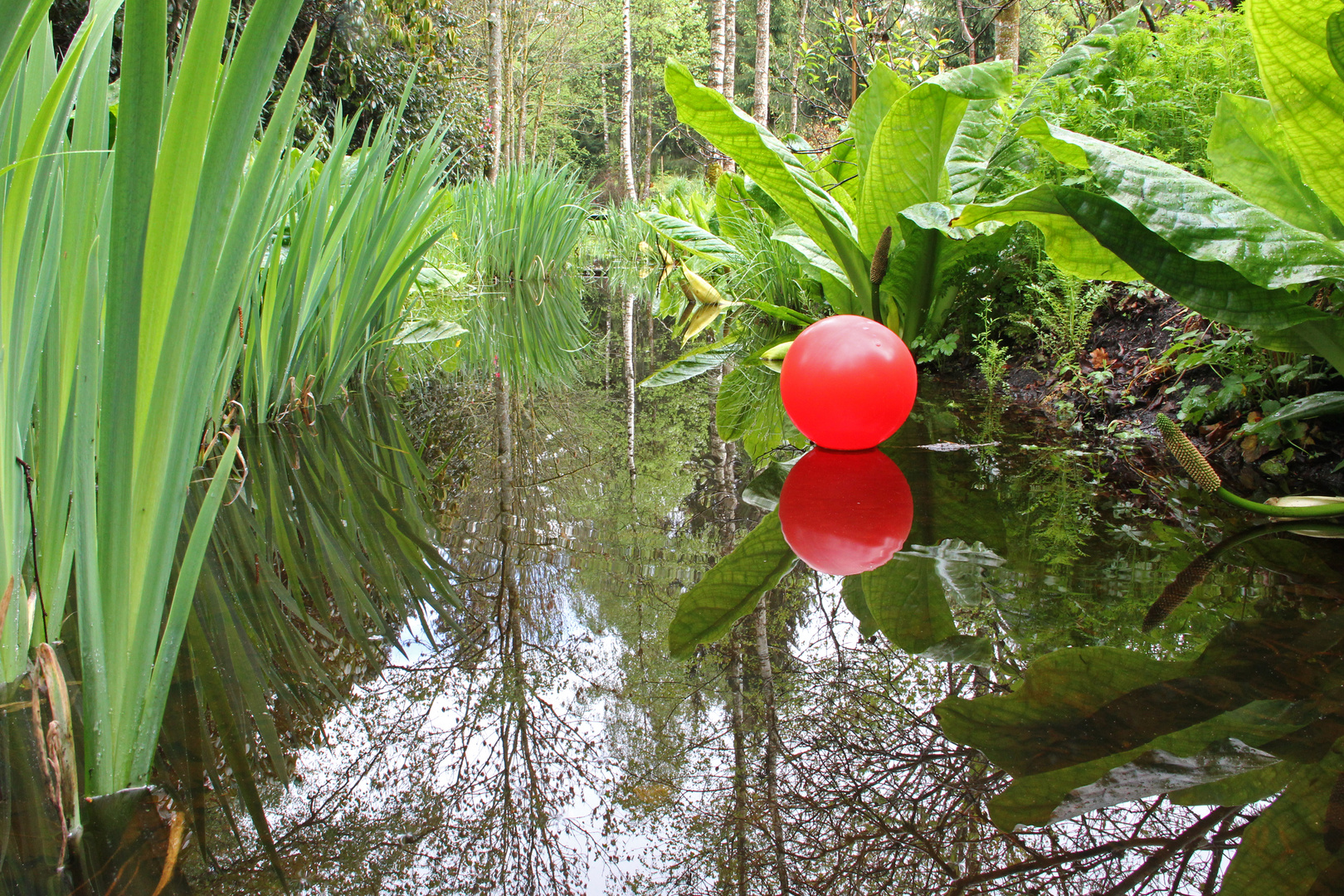 Roter Ballon im Teich