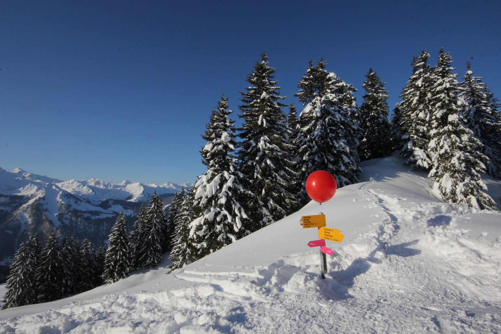 Roter Ballon weist denWeg