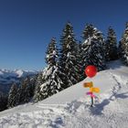 Roter Ballon weist denWeg