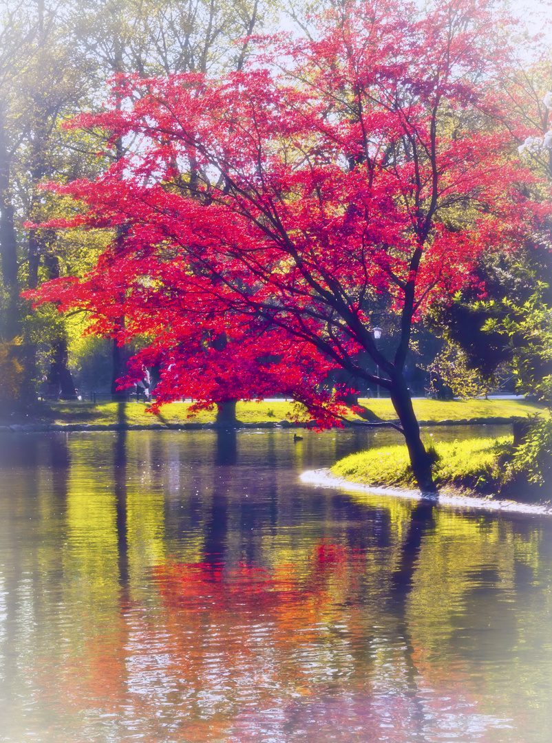 Roter Baum