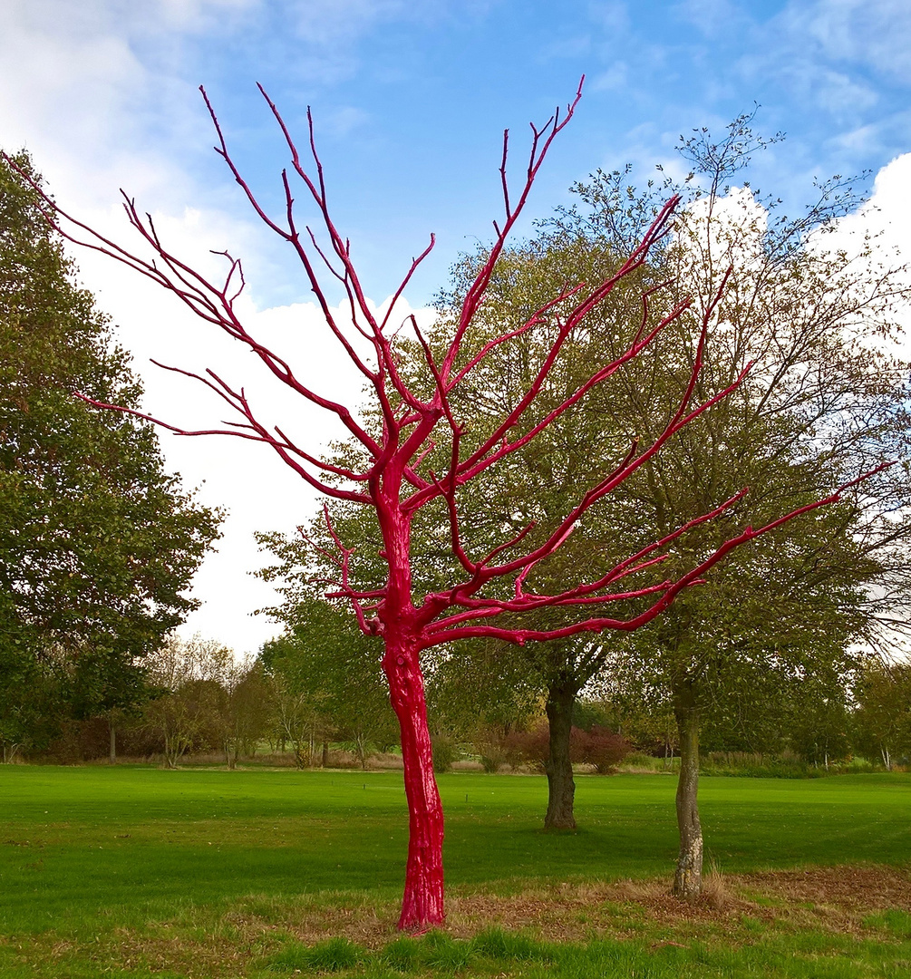 Roter Baum