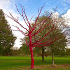 Roter Baum