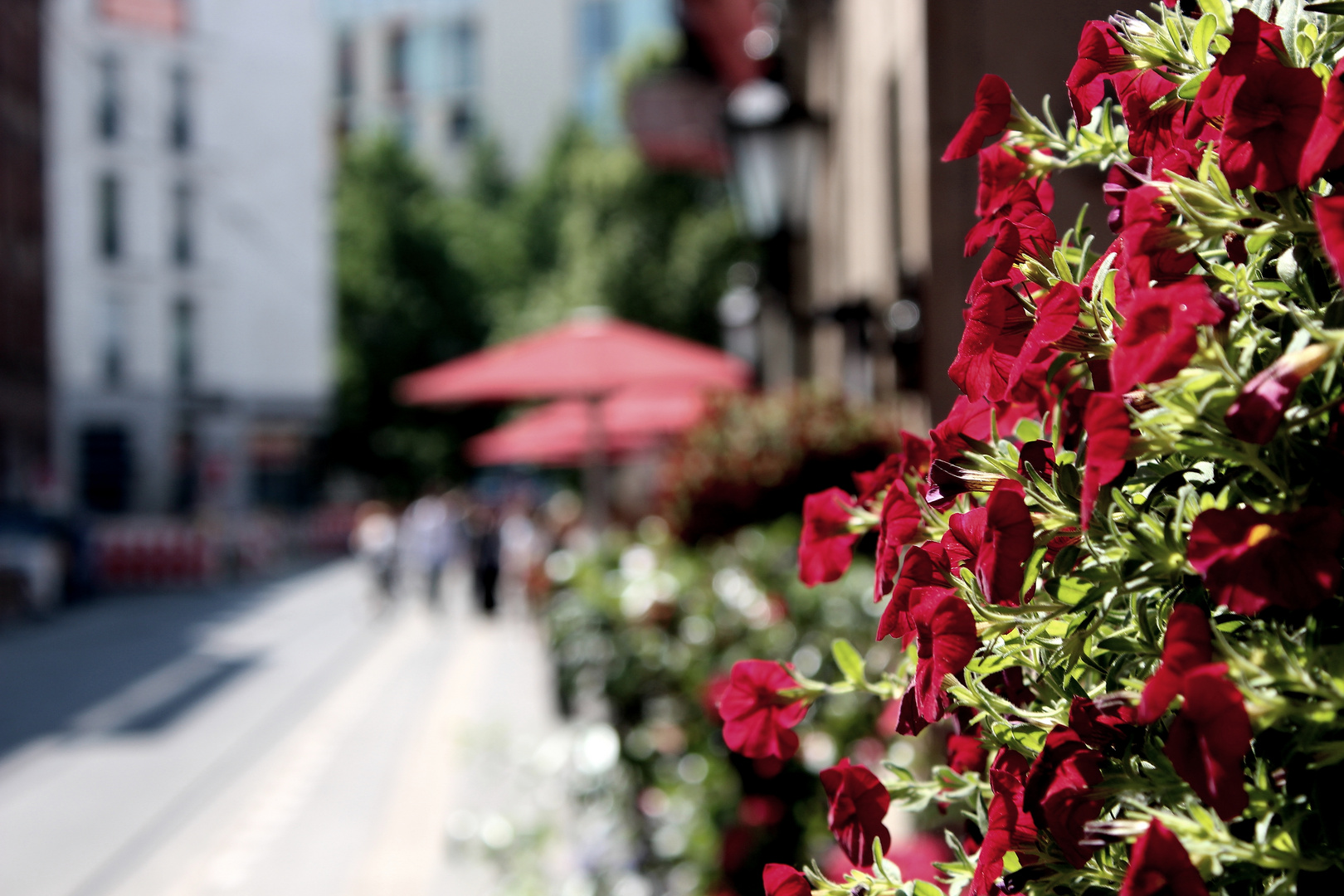 Roter Biergarten