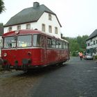 Roter Brummer im Dorf