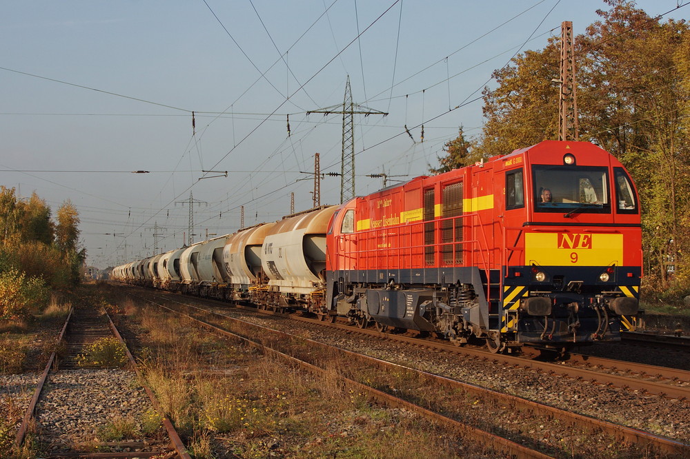 Roter Brummer im Herbst