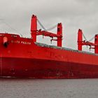 roter Bulker