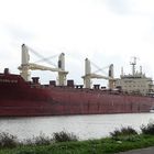 roter Bulker 