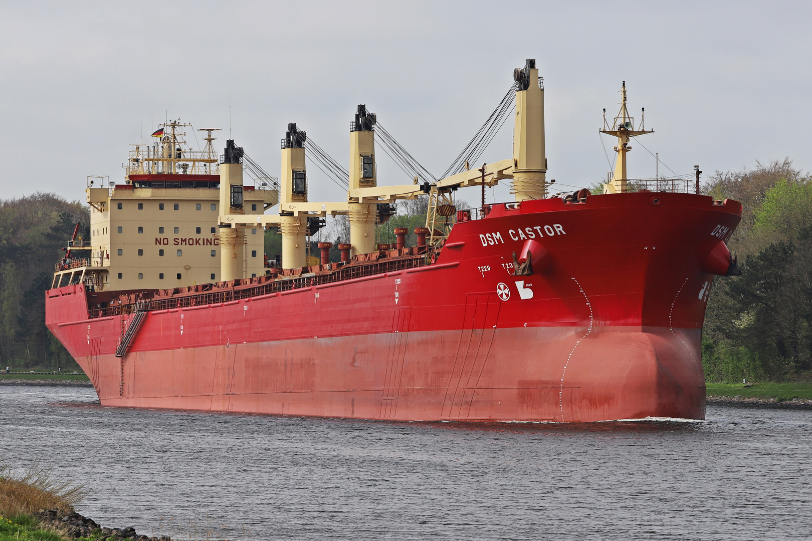 roter Bulker