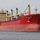 roter Bulker