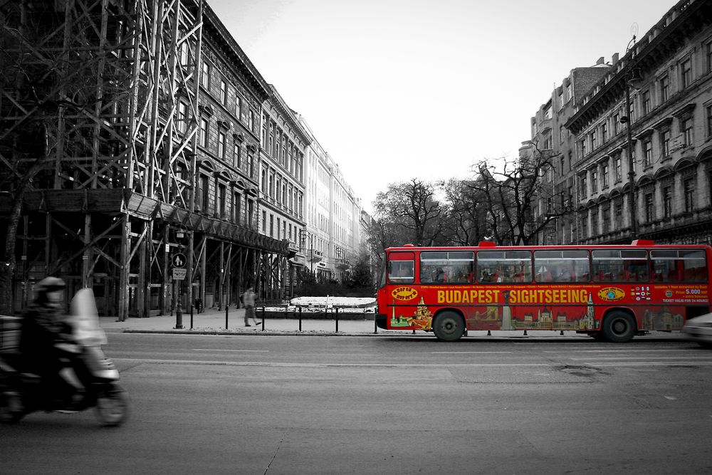 Roter Bus von Astrid Honnef 