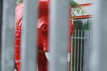 Roter Elefant hinter Gittern