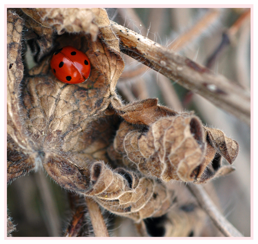 roter Farbklecks