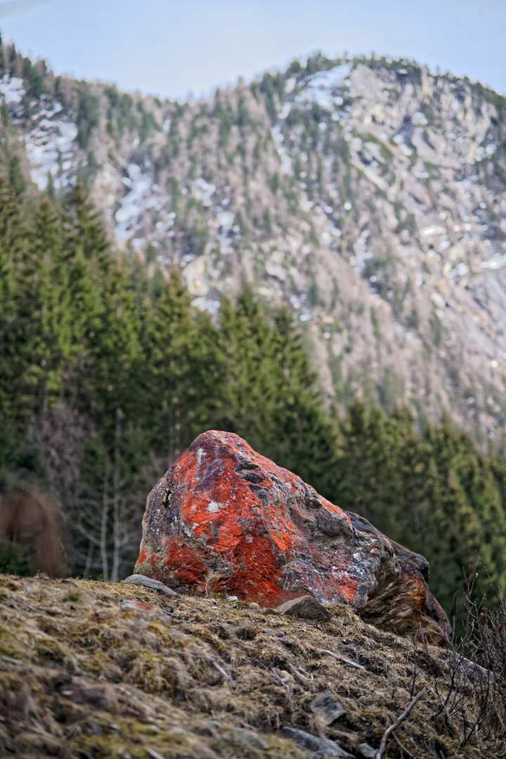 Roter Felsen