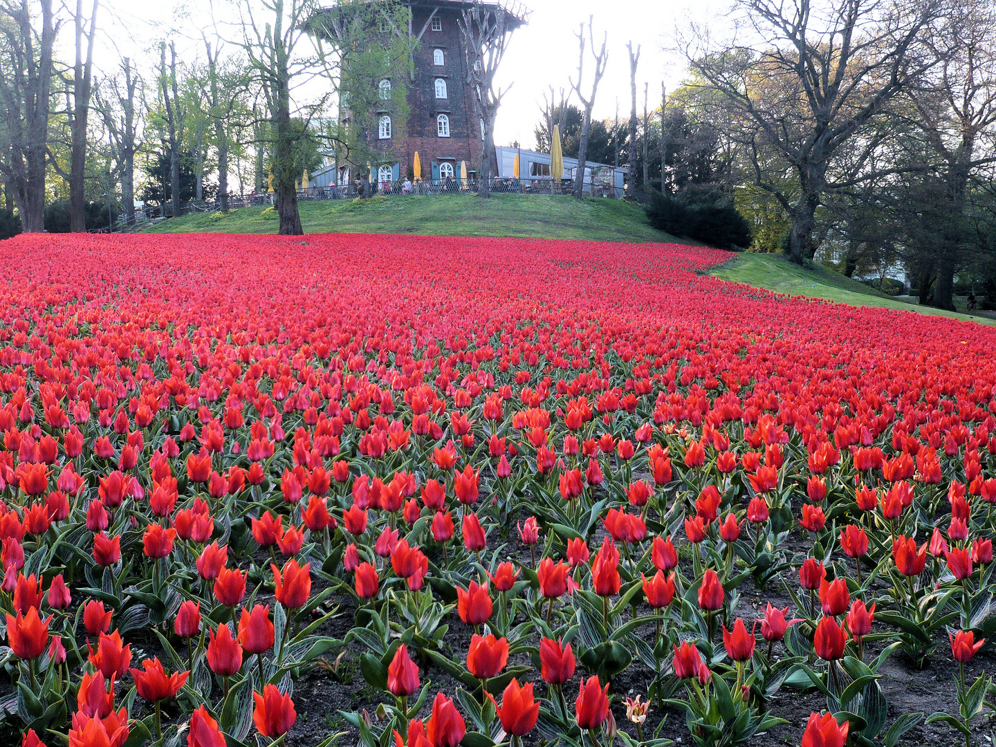 roter Fleck