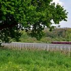 Roter Flitzer auf der Heimreise