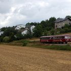 "Roter Flitzer" auf der Krebsbachtalbahn bei Neckarbischofsheim 26.7.2020