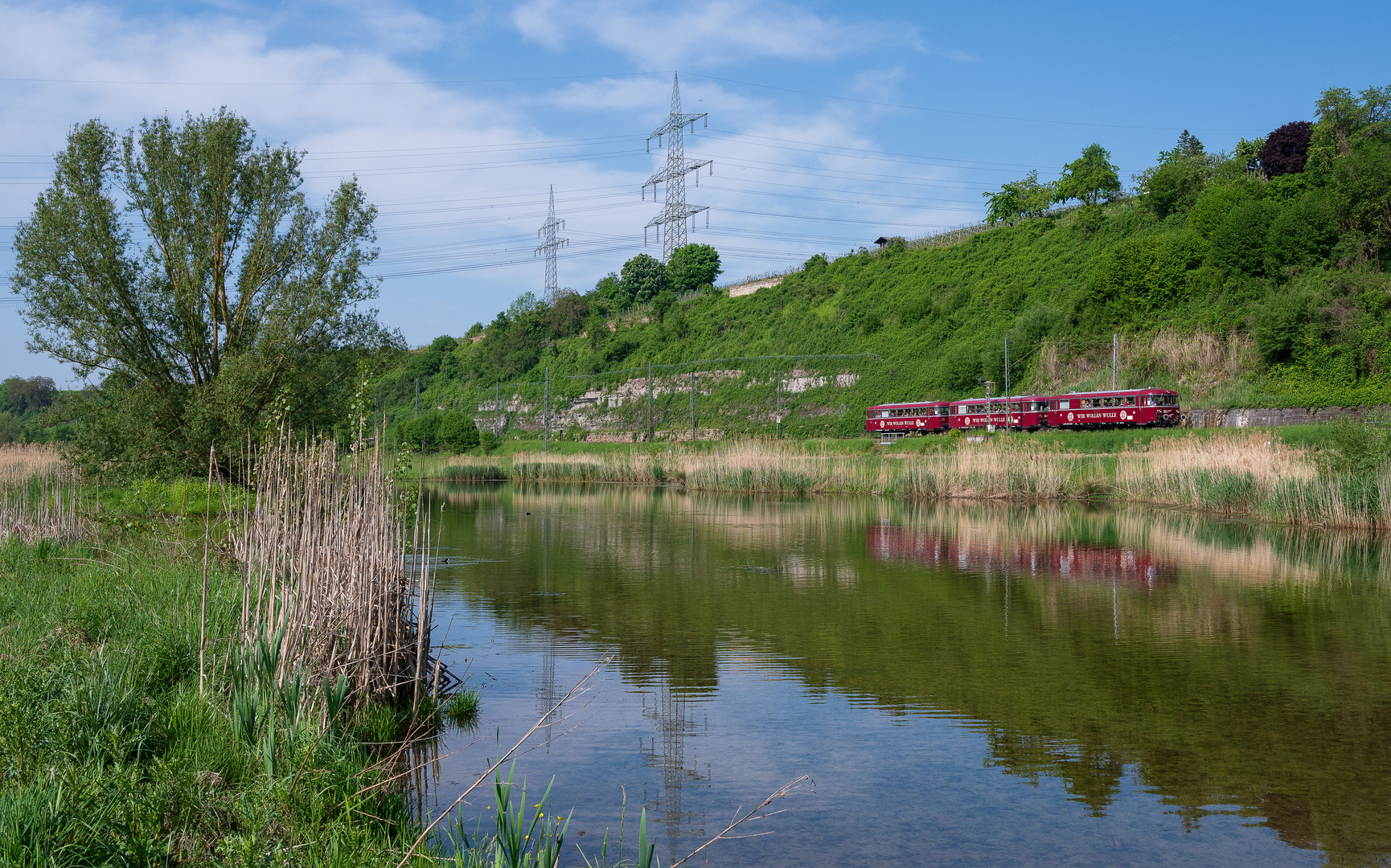 Roter Flitzer im Grünen